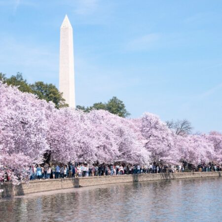 Operators commence DC market, but not much considerations