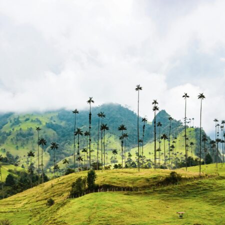 Colombian regulator apologises to licensed casino