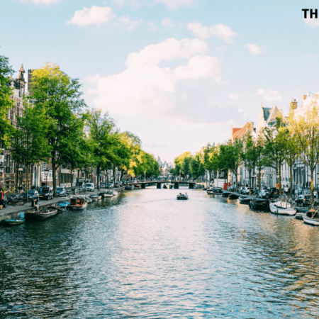 Dutch strikes gambling protection to secretary of yelp