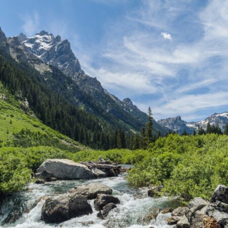 Wyoming: Harassment Wrong, Prop Ban Not Solution