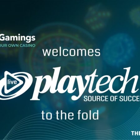 SoftGamings companions with Playtech Reside