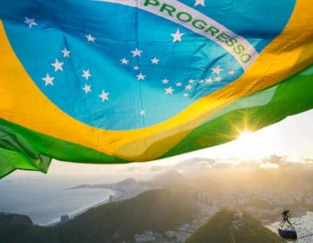 Brazil Recordsdata 113 License Submissions