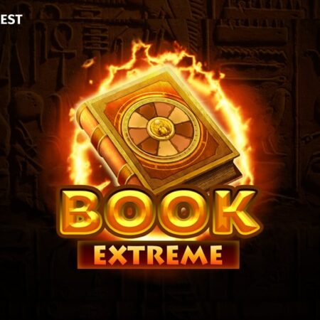 Yggdrasil and AceRun discuss E-book Coarse history