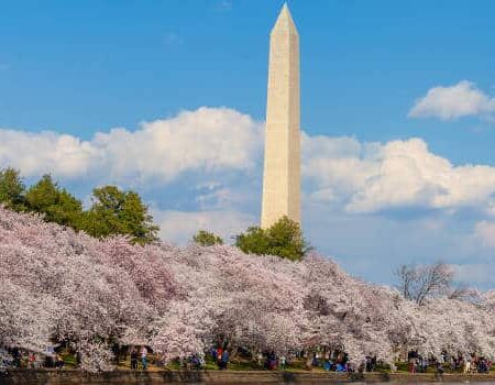 Caesars to replace GambetDC kiosks