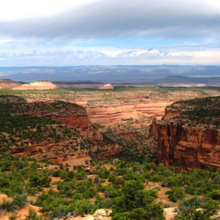 Colorado Sports Betting GGR Up in June
