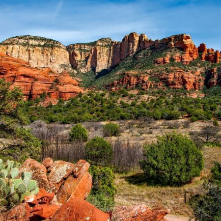 Arizona Sports Wagering Earnings & Handle