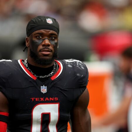 NFL Texans’ Al-Shaair punches Bears’ Johnson on sideline.