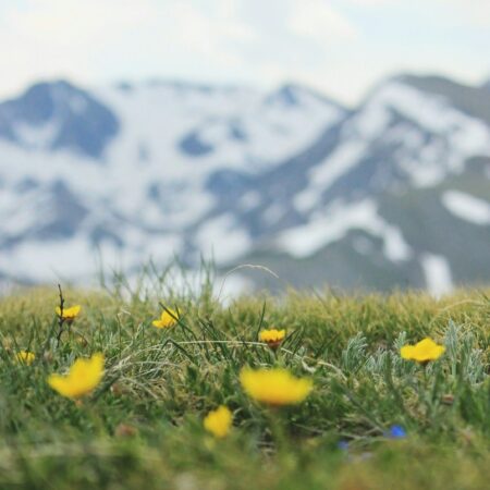 Colorado Gambling Up, But Down vs. June