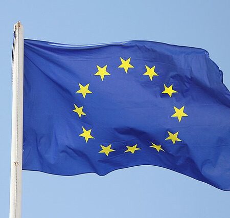 European CEOs Worried About Black Market in Europe