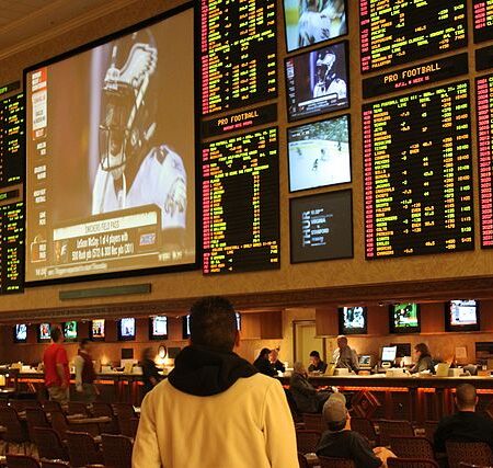 Bettor Critiques US Sportsbooks