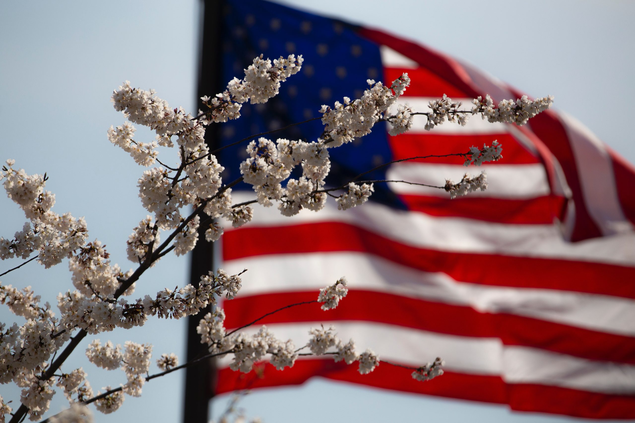 US August round-up: Louisiana, Restful Hampshire and Wyoming