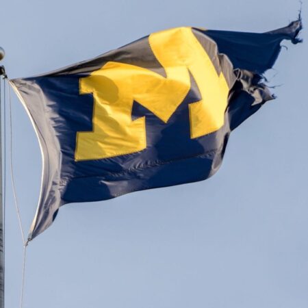 Michigan Igaming Boosts Online Gambling Revenue