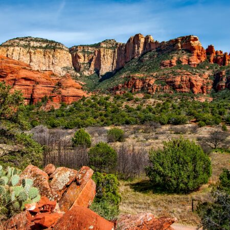 August: Arizona Sports Betting on the Rise
