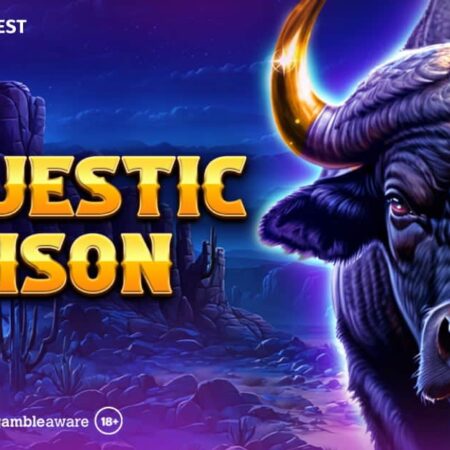 Spinomenal introduces Majestic Bison title