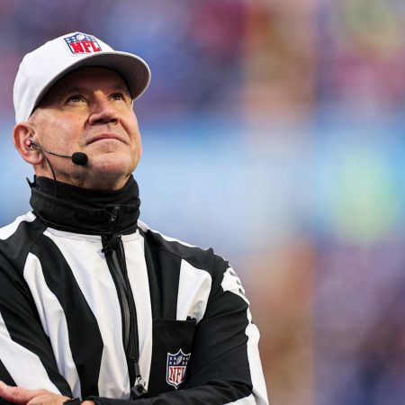 NFL Conf. Championship Refs: Blakeman, Hochuli