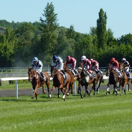 British Horseracing Authority appoints meantime CEO